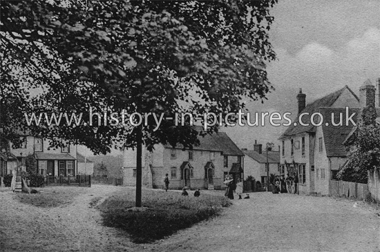 Great Easton Village. Essex. c.1906